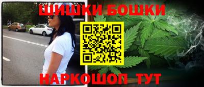 стаф Лесосибирск