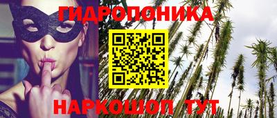 стаф Лесосибирск