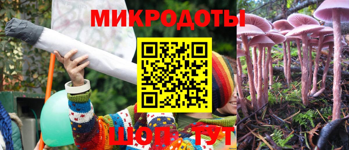 Тамбов  даркнет сайт  Псилоцибиновые грибы мицелий  Вход с VPN  Псилоцибиновые грибы Cubensis 